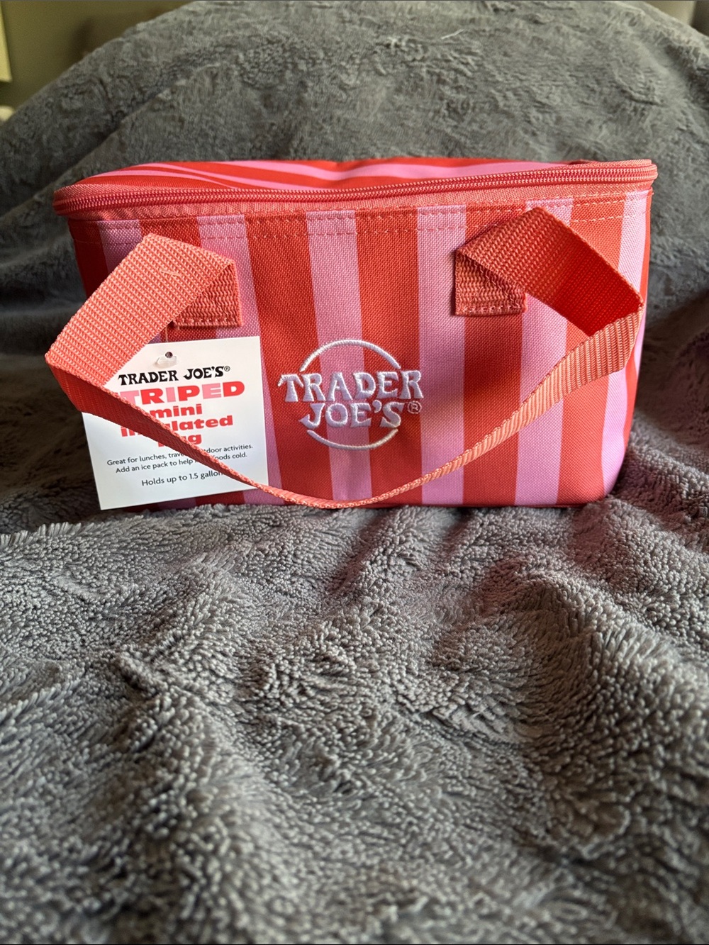 NWT Trader Joe’s striped insulated mini tote pink and red ships same day